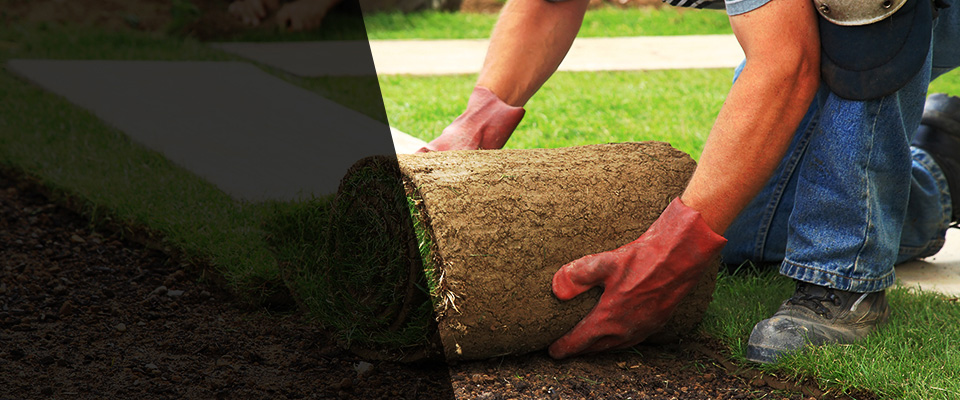 Minot Afb Landscapers